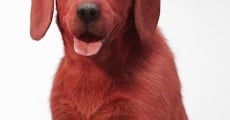 Película Clifford the Big Red Dog