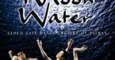 Cloud Gate Dance Theatre of Taiwan: Moon Water (2003)