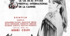 Codine (1963) stream