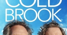 Cold Brook (2019) stream