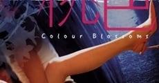 Ver película Colour Blossoms