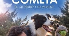 Película Cometa: Él, su perro y su mundo