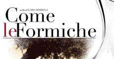 Come le formiche (2007) stream