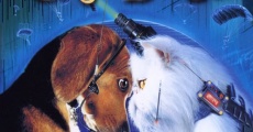 Cats & Dogs (2001) stream