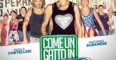 Come un gatto in tangenziale film complet