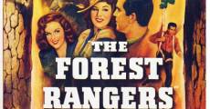 I rangers della foresta