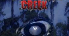 Cottonmouth Creek (2009) stream