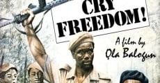 Película Cry Freedom