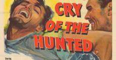 Cry of the Hunted (1953)