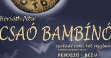 Csaó Bambinó (2013) stream