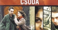 Csoda Krakkóban (2004)