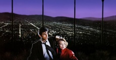 Into the Night (1985) stream