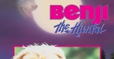 Benji the Hunted (1987)