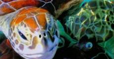 Nature: Cuba: The Accidental Eden streaming