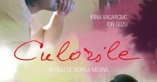 Filme completo Culorile