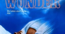 Das Wunder (1985) stream