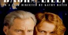 Dash and Lilly (1999) stream