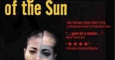 Película Daughters of the Sun