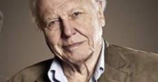 David Attenborough: The Early Years (2013) stream