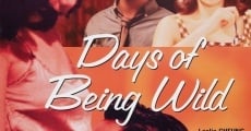 Película Days of Being Wild