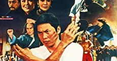 Tian xia di yi quan (1972) stream