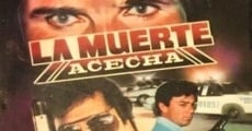 La muerte acecha (1993)