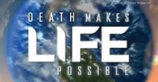 Death Makes Life Possible