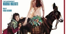 Decameron n° 3 - Le più belle donne del Boccaccio (1972) stream