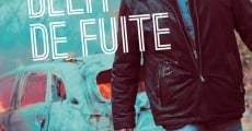 Délit de fuite (2013) stream