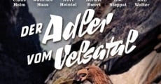 Der Adler vom Velsatal (1957) stream