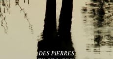 Des pierres en ce jardin (2015)