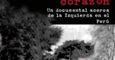 Desde el lado del corazón (2013) stream