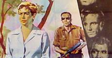 Madeleine und der Legionär (1958) stream