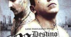Destino Mara (2010) stream