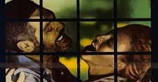 Oltre la porta (1982) stream