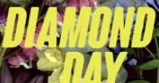 Diamond Day film complet