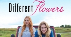 Filme completo Different Flowers