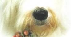 Filme completo Digby, O Maior Cão do Mundo