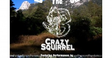 Discovering the Crazy Squirrel (2015) stream