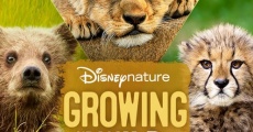 Growing Up Wild film complet