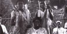 Divine Horsemen: The Living Gods of Haiti streaming