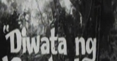 Diwata ng kagubatan (1972) stream