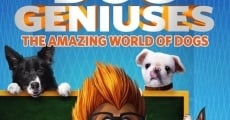 Filme completo Dog Geniuses