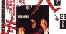 Dog Race