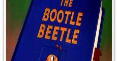 Bootle Beetle