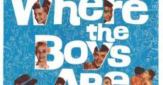 Where the Boys Are film complet