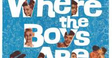 Where the Boys Are (1960)