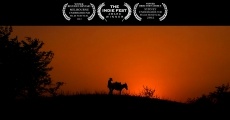 Donkey Love (2012) stream