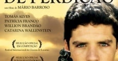 Um amor de Perdição film complet