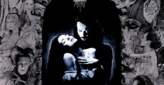 Dracula d'après l'oeuvre de Bram Stoker streaming